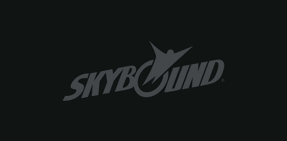 Skybound Entertainment logo featuring a leaping figure